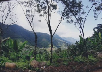 Land for sale in Colombia