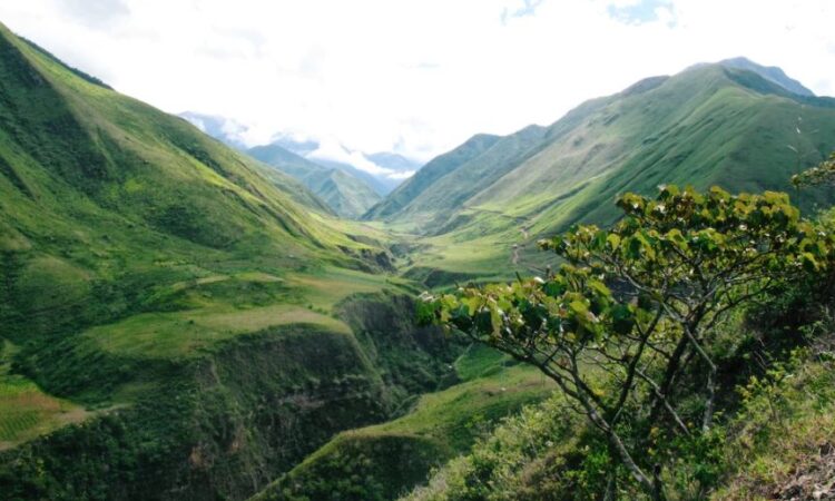 land for sale in Ecuador