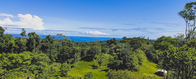 Bocas Del Toro Land For Sale