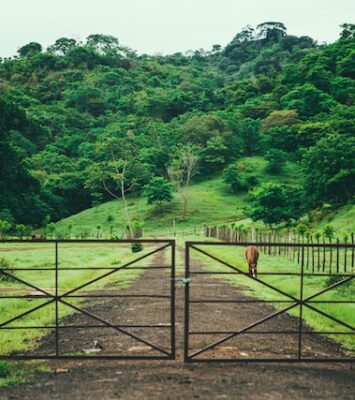Farm for sale in Panama, Central America
