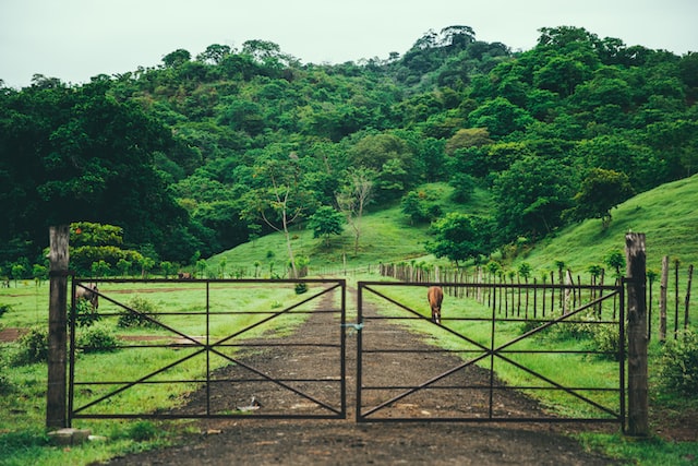 Farm for sale in Panama, Central America