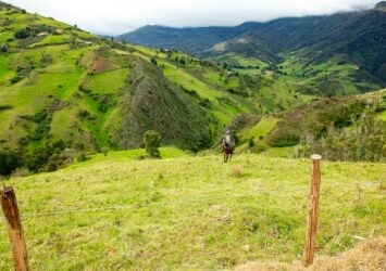 Horse ranch for sale Ecuador