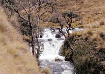 Mountain and river land for sale Ecuador