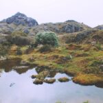 Parque Nacional Cajas - land for sale in Ecuador